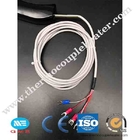 Stainless Steel RTD Temperature Sensor PT100 Style With Sharp Point