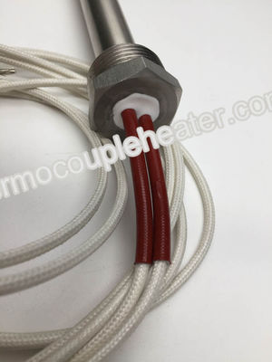 Hoog - de Verwarmerroestvrij staal 316 van de dichtheidspatroon de Onderdompeling van het Schedewater