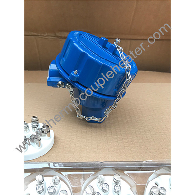 blauw Explosiebestendige thermo koppelkop Bp5e Ex-proof