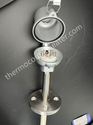 Hoogtemperatuurthermocouples met keramische buizen en koppen in een keramische buis met dubbele bescherming